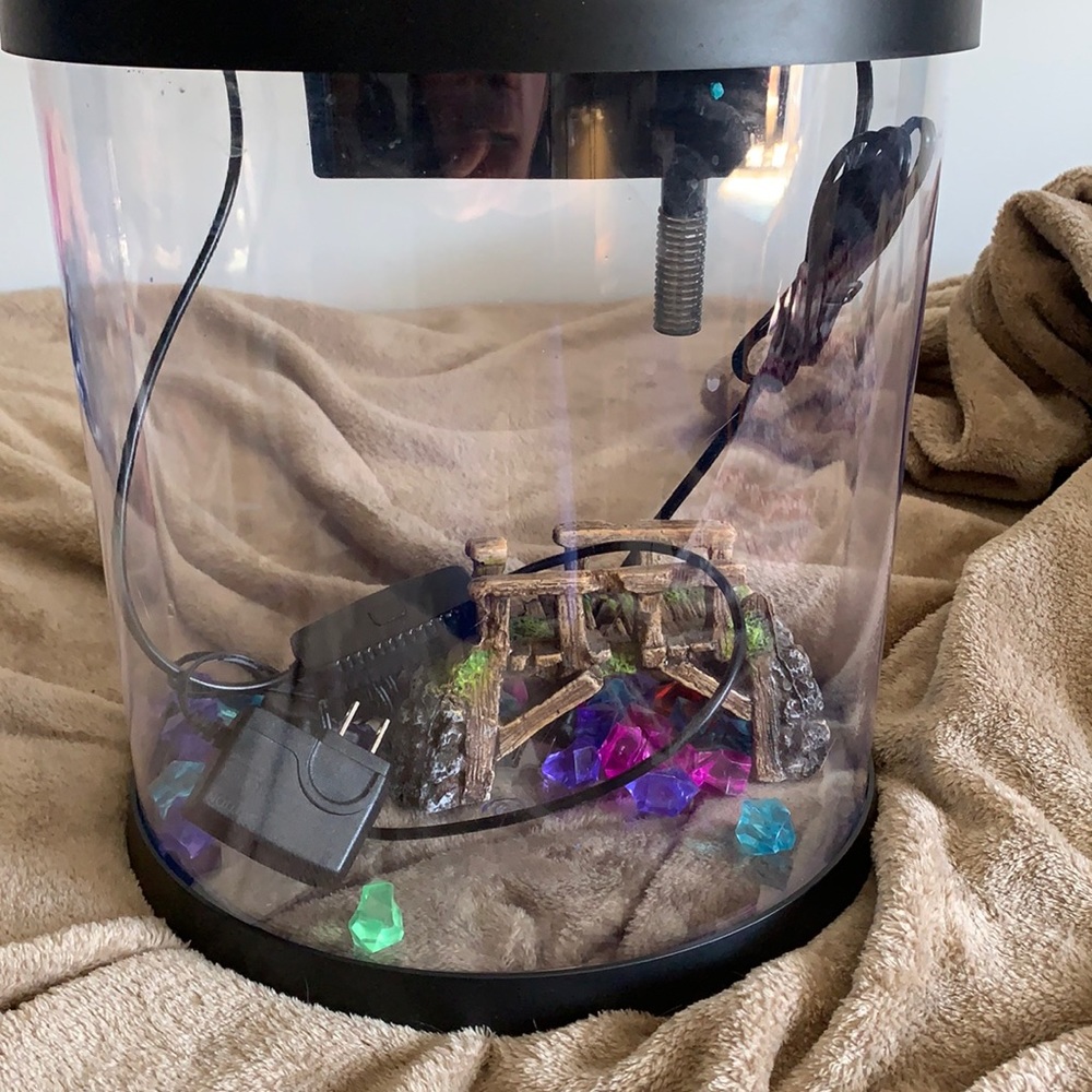 LED fish tank with accessories